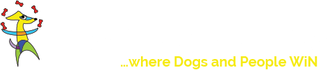 bingo-dog-training-logo