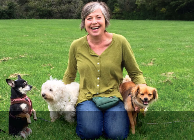 A woman sitting on the grass with four dogs.